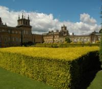 Blenheim Palace